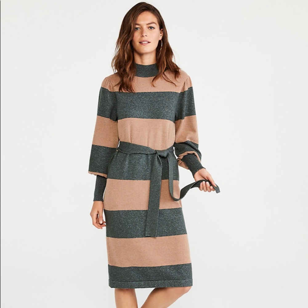 Ann Taylor Sweater Dress (S)